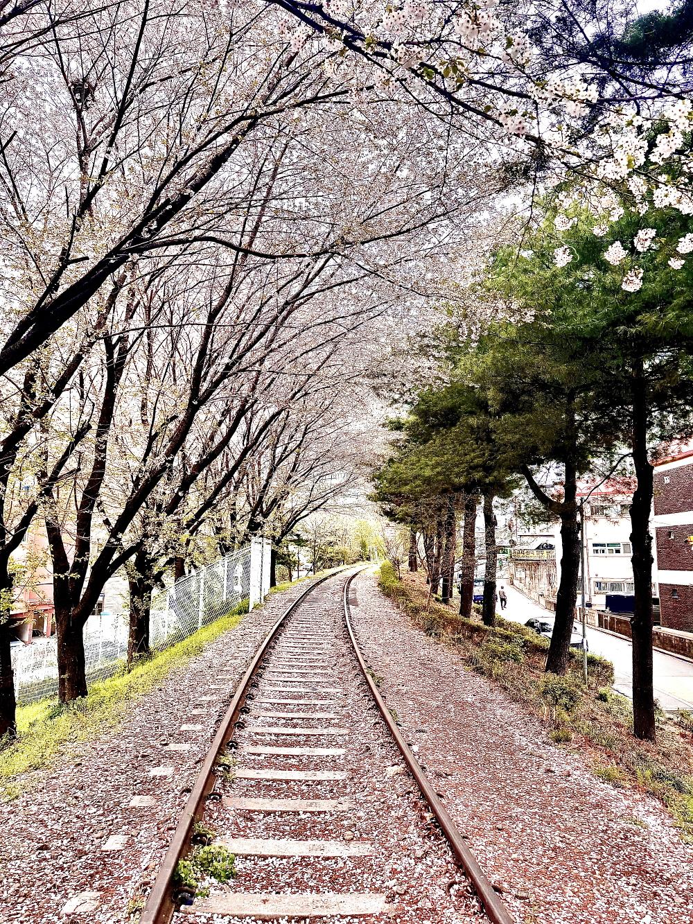 유유기지 부평 지역탐방 쀼팟 4월 모임 사진